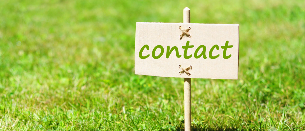 Homepage Banner